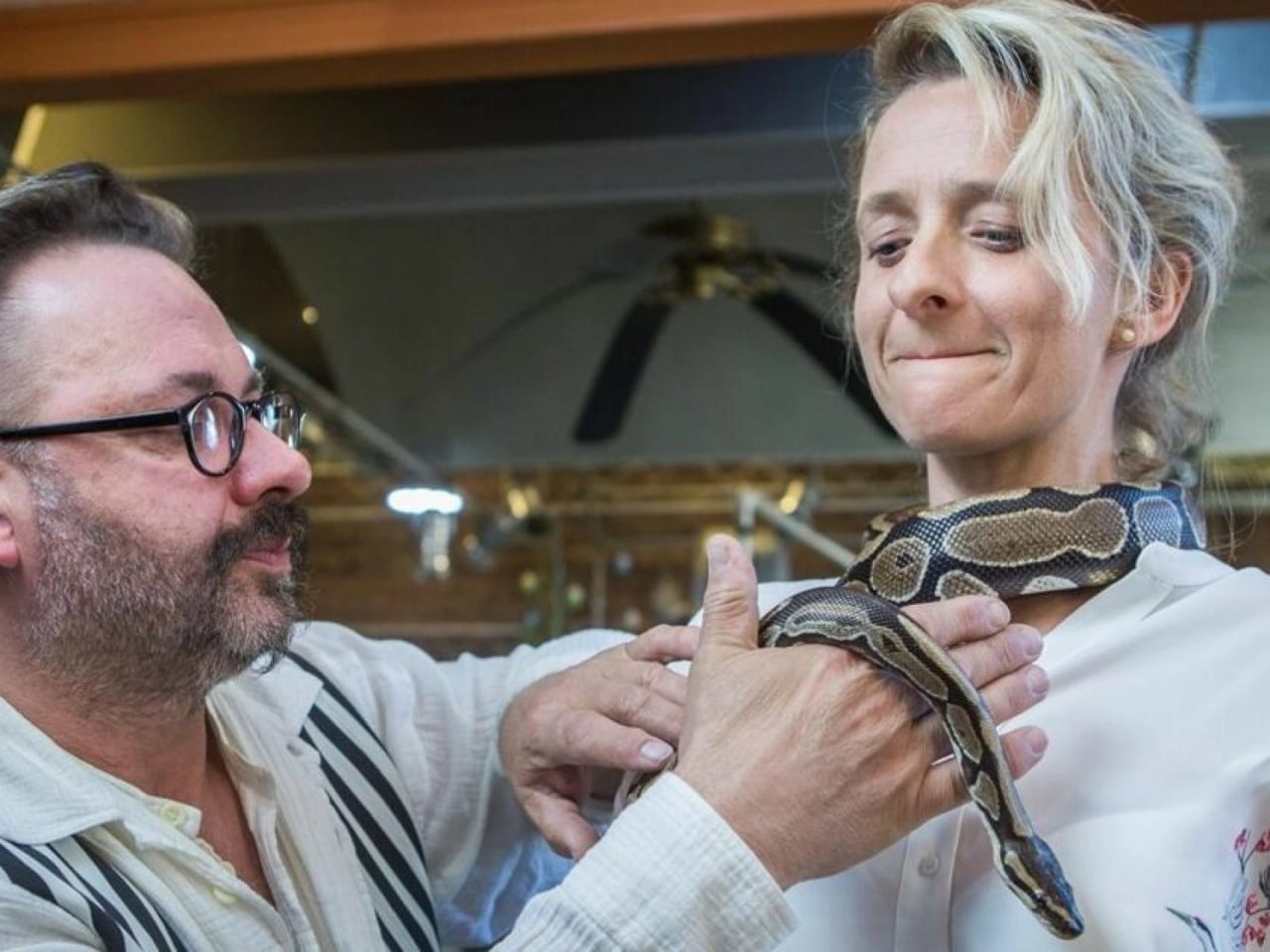 Menschen, Tiere, Fönfrisuren Menschen, Tiere, Fönfrisuren